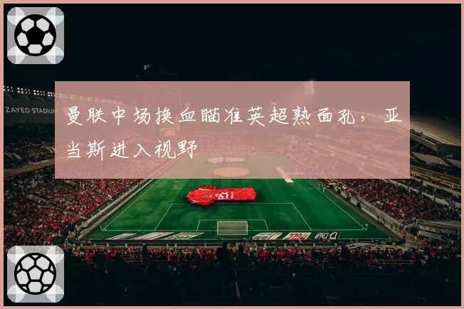 曼联中场换血瞄准英超熟面孔，亚当斯进入视野