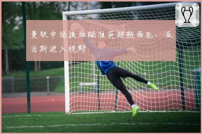 曼联中场换血瞄准英超熟面孔，亚当斯进入视野