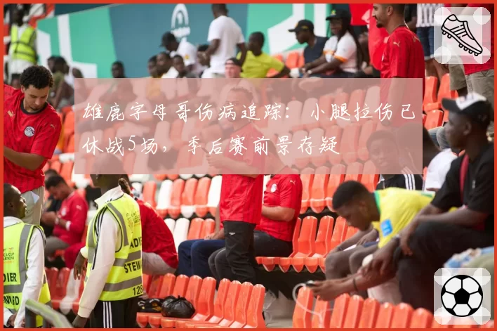 雄鹿字母哥伤病追踪：小腿拉伤已休战5场，季后赛前景存疑